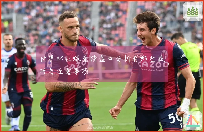 世界杯让球竞猜盘口分析有哪些技巧与注意事项