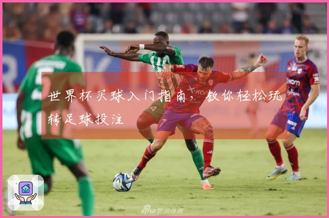 世界杯买球入门指南，教你轻松玩转足球投注