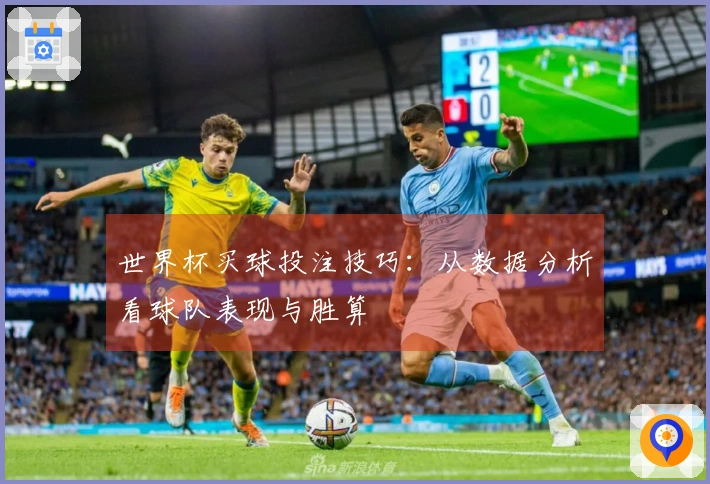 世界杯买球投注技巧：从数据分析看球队表现与胜算