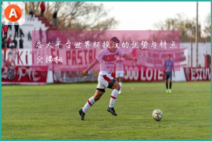 各大平台世界杯投注的优势与特点全揭秘