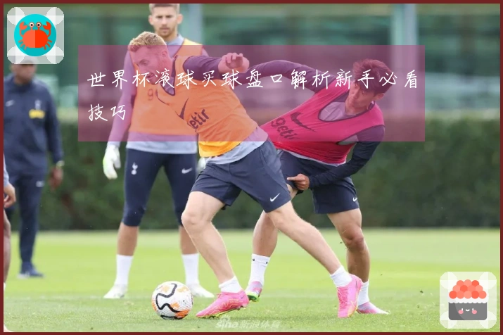 世界杯滚球买球盘口解析新手必看技巧
