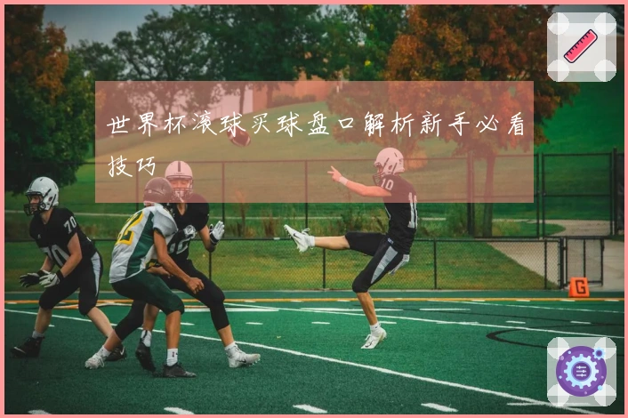 世界杯滚球买球盘口解析新手必看技巧
