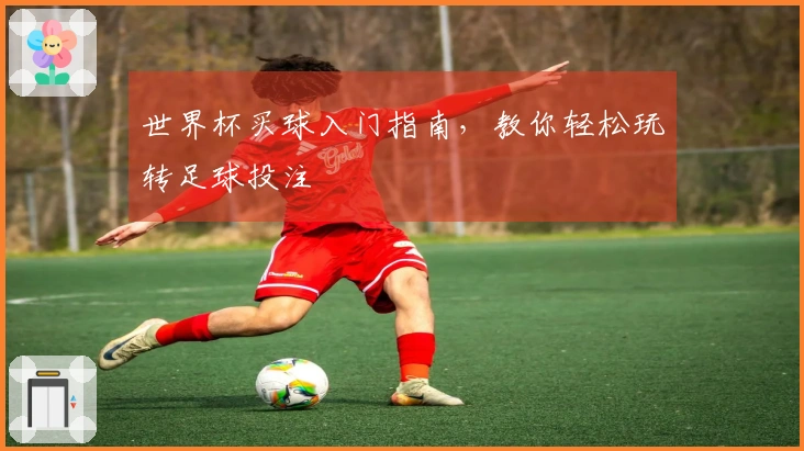 世界杯买球入门指南，教你轻松玩转足球投注